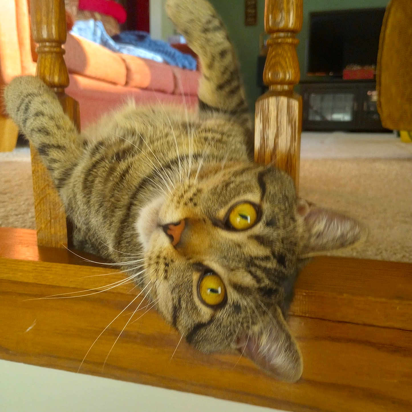 Carson
