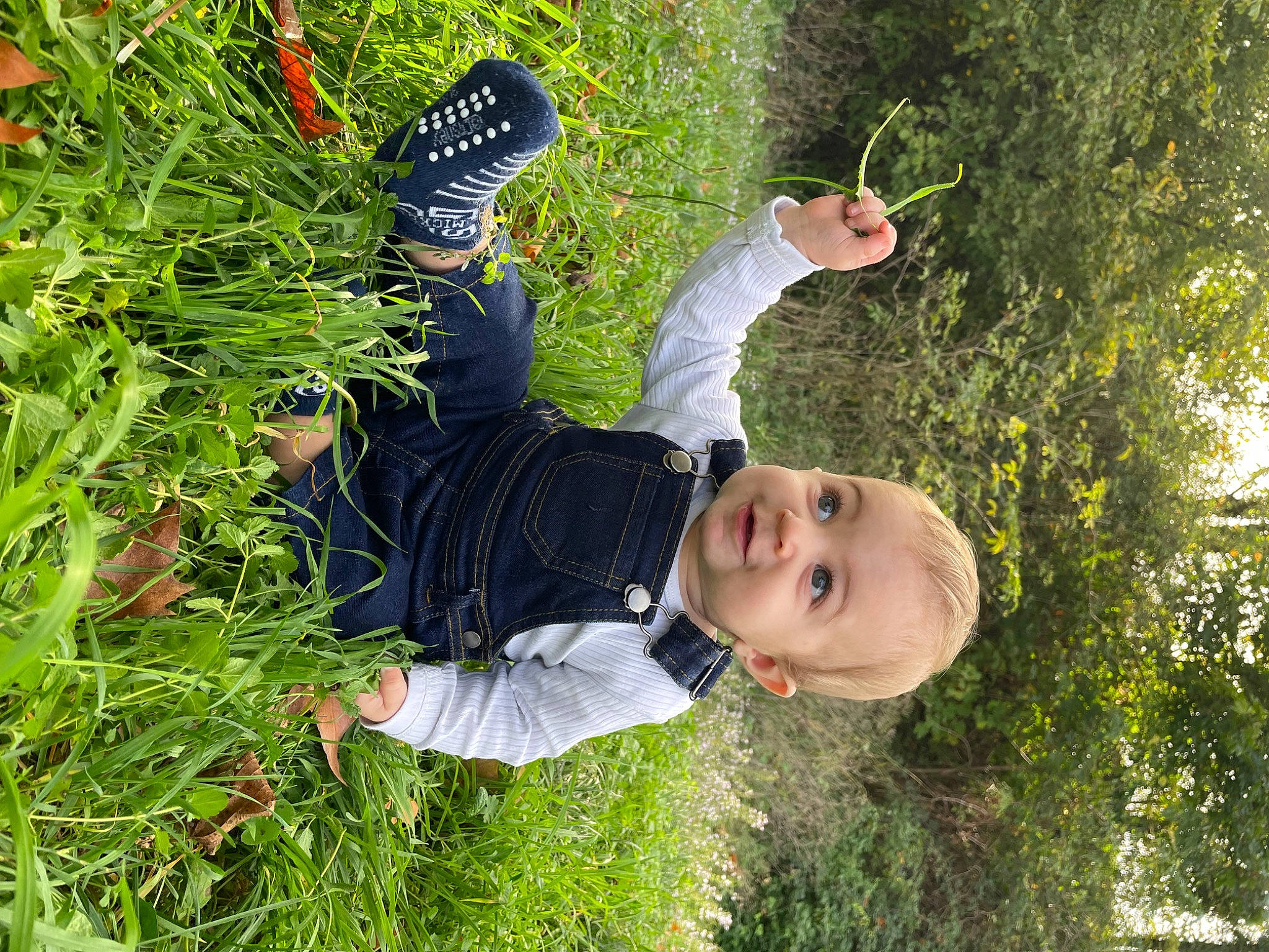 Livio participe au concours pour gagner de l'argent avec cette photo : botany, child, forest, fun, garden, grass, grass_family, grassland, groundcover, happy, hat, joy, landscape, leaf, leisure, meadow, organism, people_in_nature, person, plant