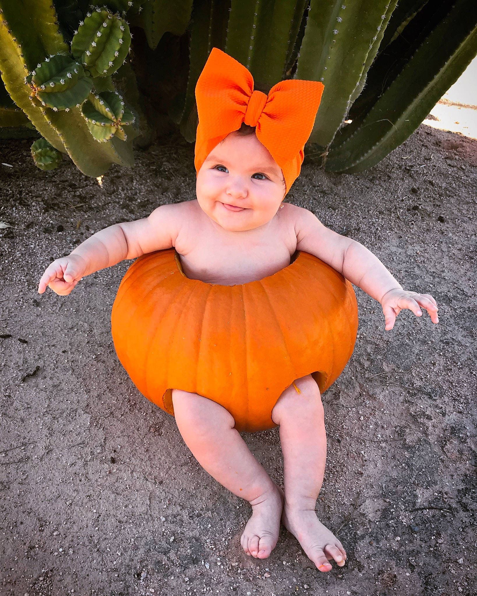 Aryanna is registered to the contest to win money with this photo: baby, calabaza, child, costume, cucurbita, fun, joy, orange, person, plant, pumpkin, toddler, vegetable, winter_squash