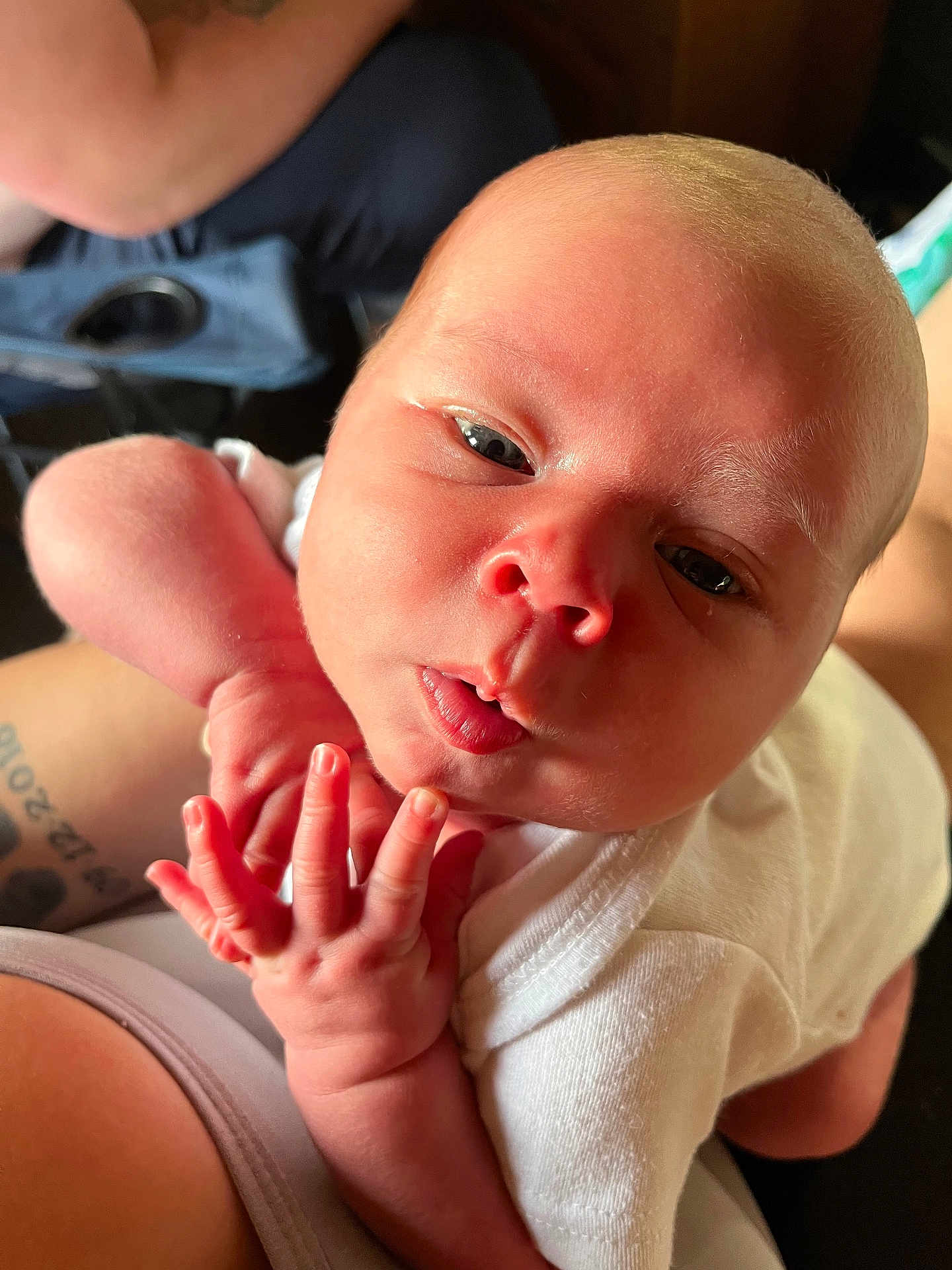 Maverick joined the competition — help win amazing prizes! baby, newborn, infant, face, hand, skin, person, closeup, expression, curious, cute, white_clothing, human, child, resting, soft_light, portrait, indoors, skin_texture, arm