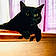Oliver