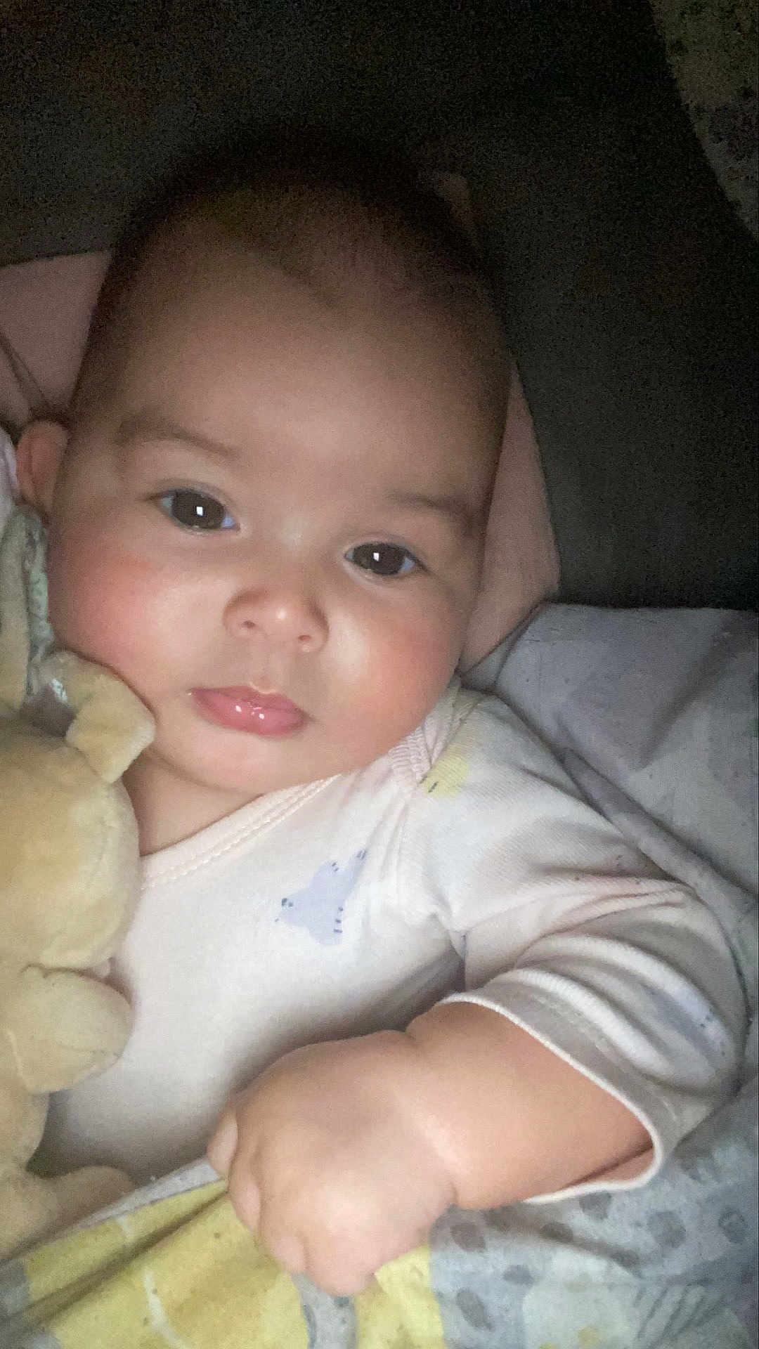 Isadora Sousa participe au concours pour gagner de l'argent avec cette photo : baby, infant, face, hand, stuffed_animal, blanket, sleepwear, cozy, cuddling, child, indoors, portrait, cute, soft_toy, resting, warm, comfort, closeup, skin, expression