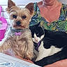 Oasis a rejoint le concours — aidez-le/la à gagner de superbes lots ! dog, cat, person, indoor, pet, fur, cute, animal, sleeping, cuddling, collar, table, chair, pink, clothing, resting, companion, black_and_white_cat, small_dog, home