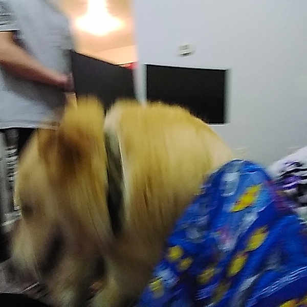 Rascal