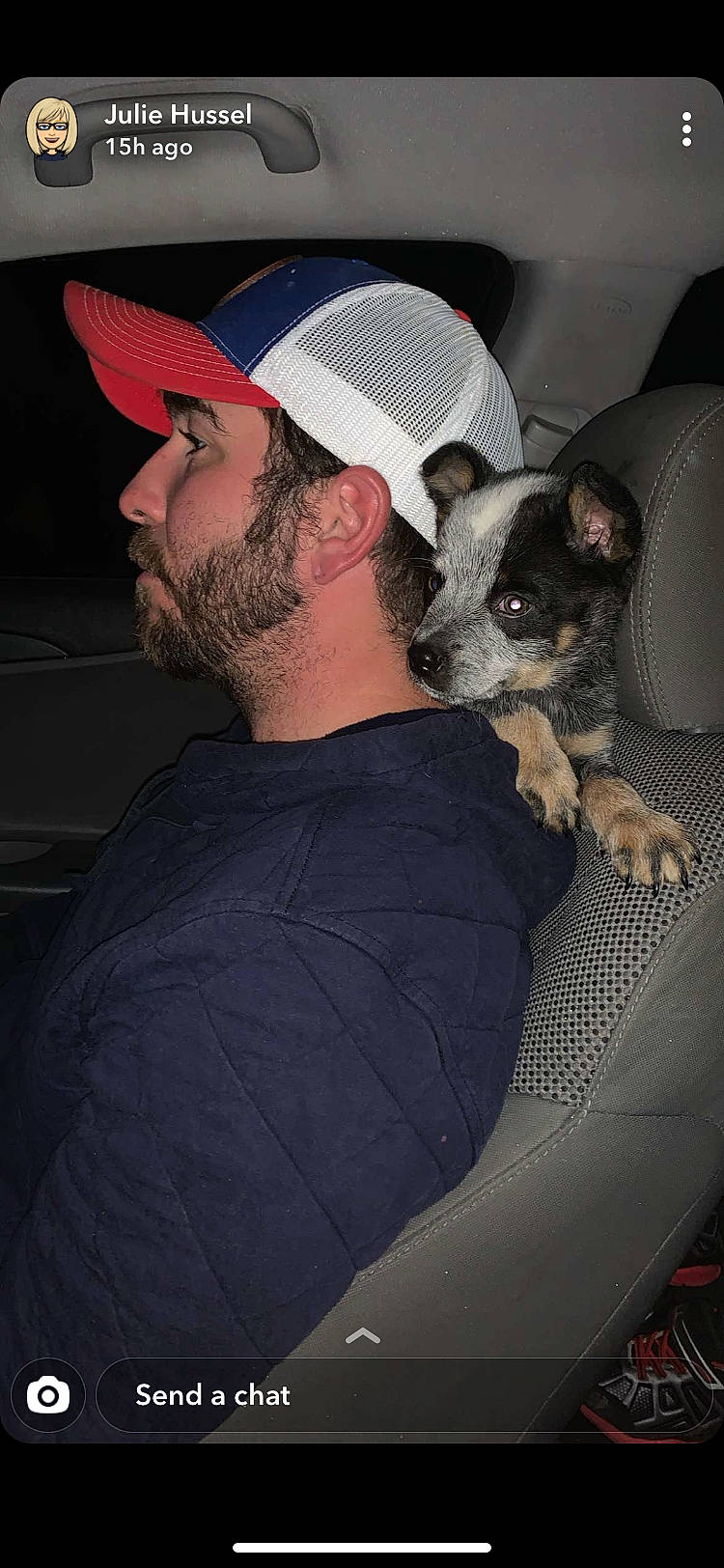 Hooch is registered to the contest to win money with this photo: baseball_cap, beard, canidae, cap, carnivore, comfort, companion_dog, dog, dog_breed, ear, elbow, eyewear, facial_hair, fawn, fur, hat, moustache, sporting_group, t_shirt, toy_dog