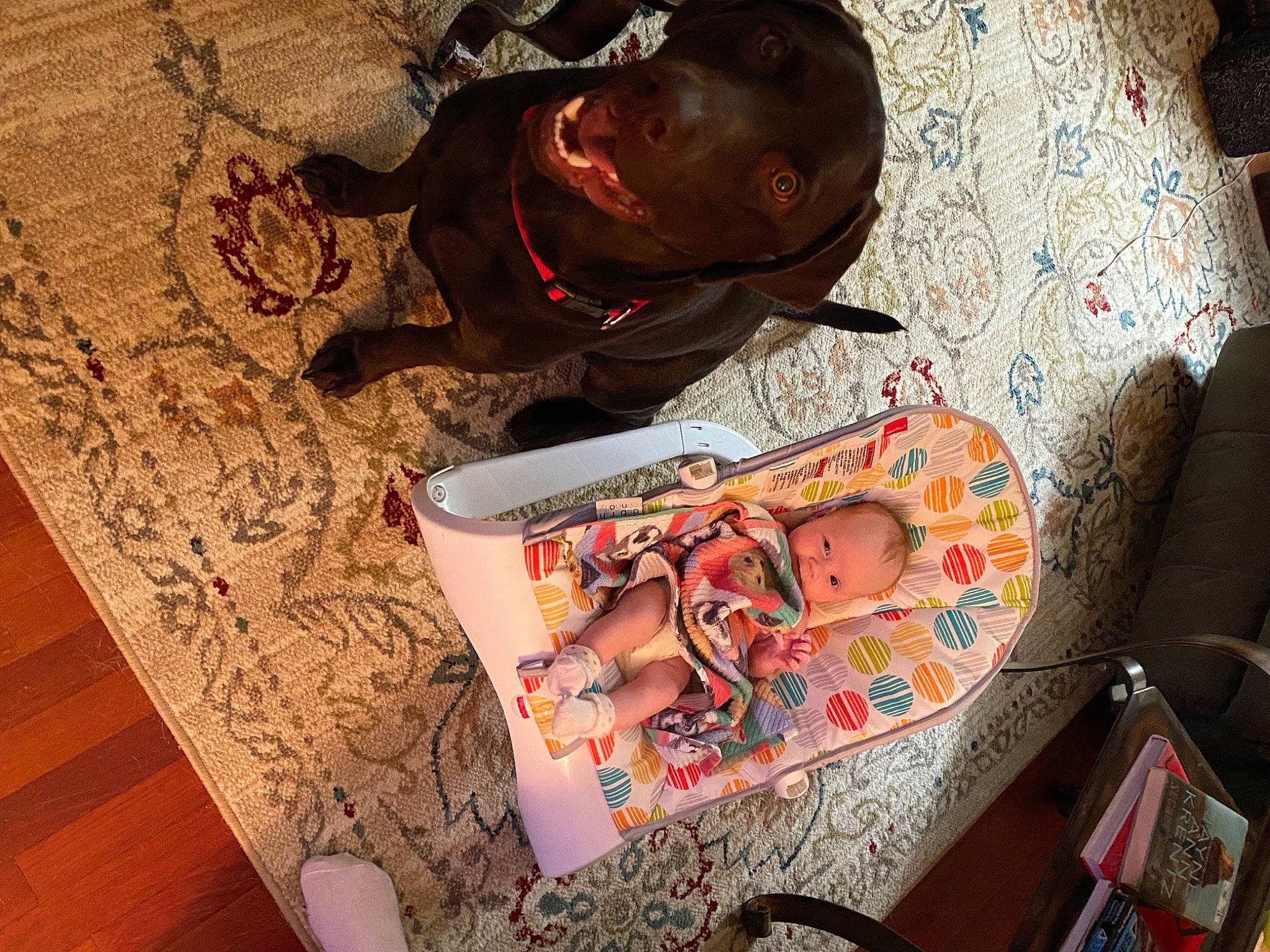 Reya joined the competition — help win amazing prizes! art, child, glasses, person