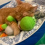 cat, sleeping, orange_tabby, plush_toy, green, pet_bed, cozy, indoor, soft, cute, relaxed, feline, animal, resting, comfort, closeup, whiskers, ears, paw, patterned_bed