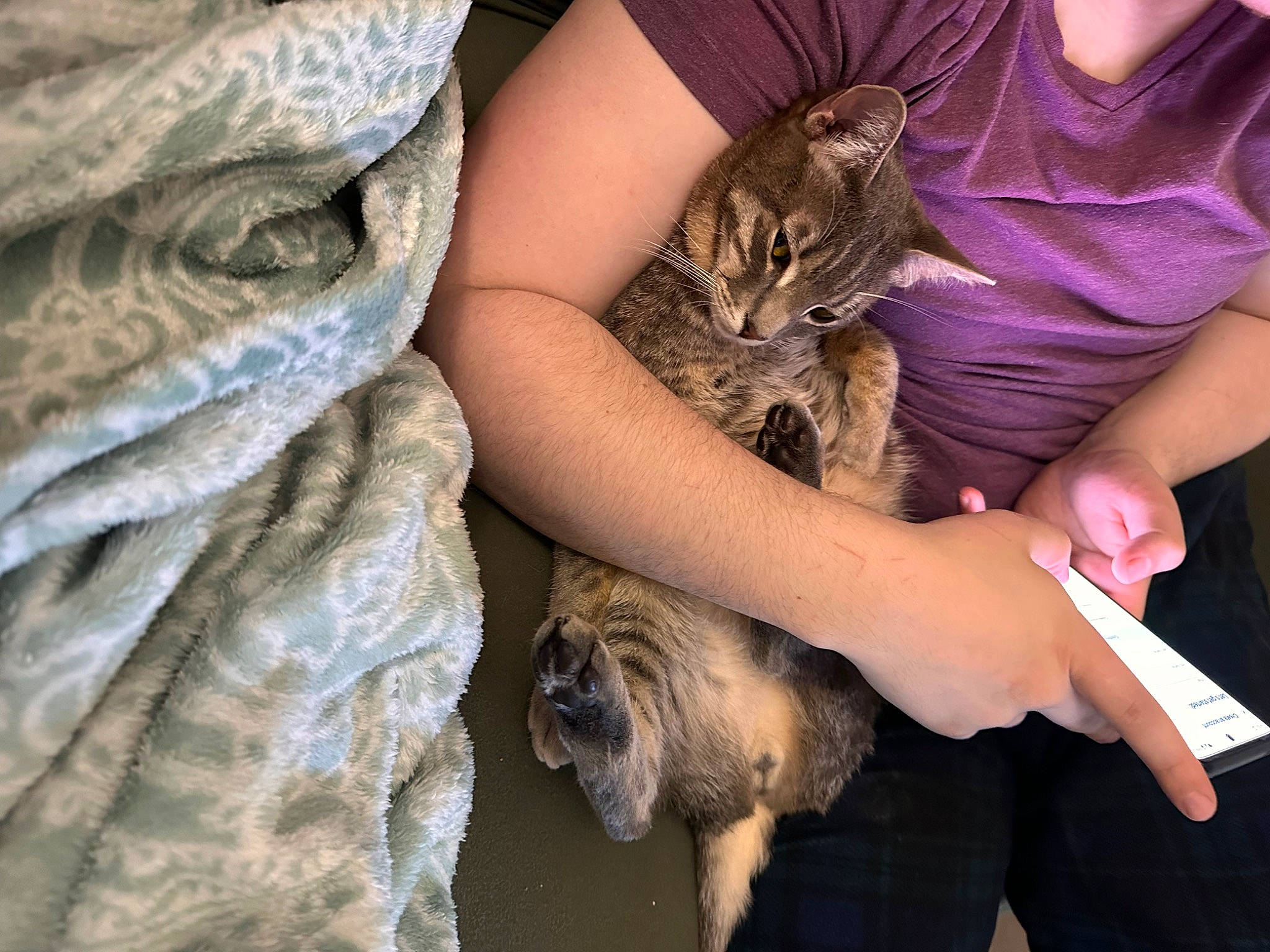 Moss joined the competition — help win amazing prizes! animal_training, carnivore, cat, companion_dog, dog_breed, fawn, felidae, fur, mammal, small_to_medium_sized_cats, terrestrial_animal, whiskers, wildlife, wildlife_biologist, wood