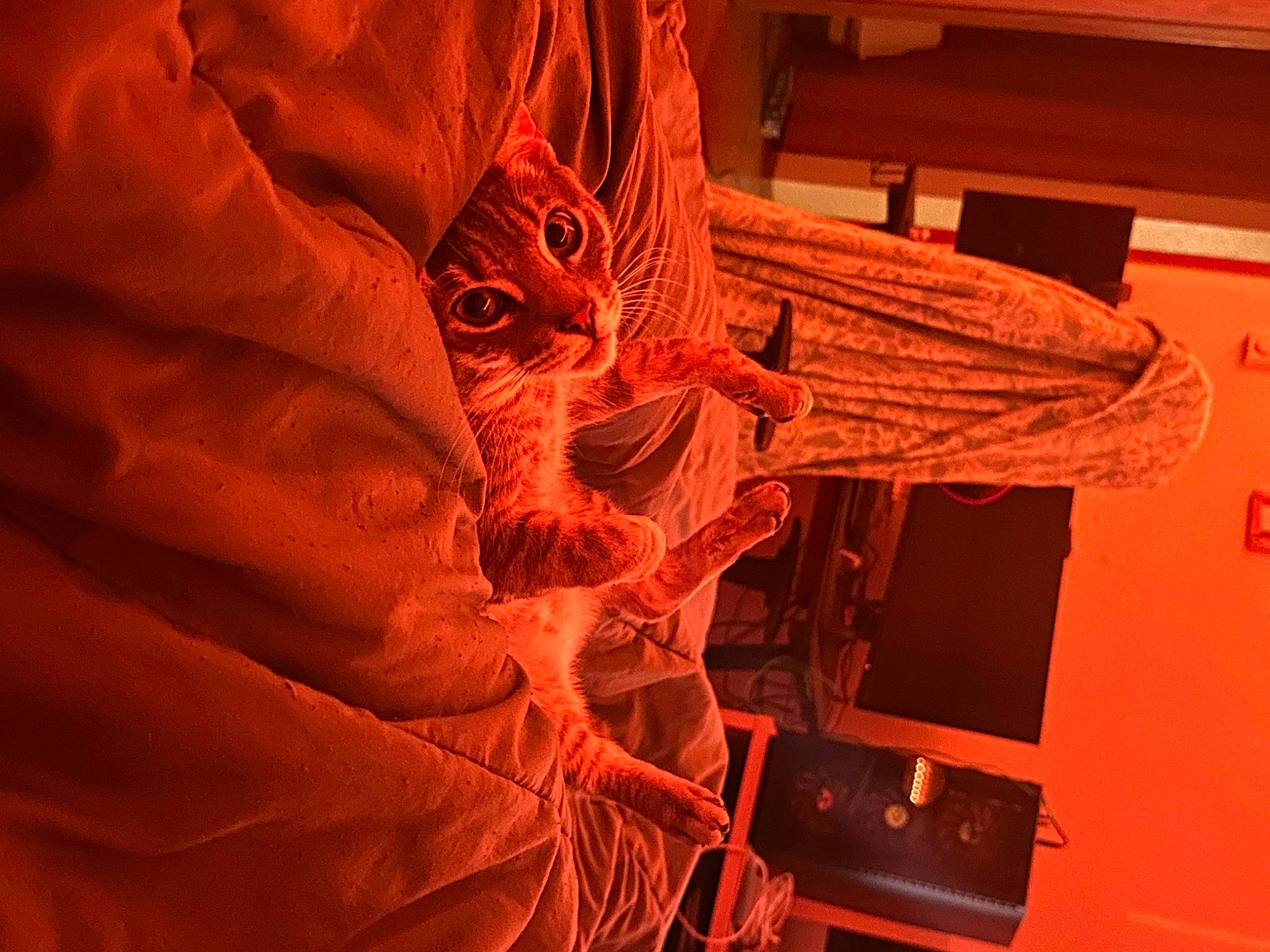 Moss joined the competition — help win amazing prizes! art, carmine, carving, event, fictional_character, flesh, fur, human_body, machine, peach, rock, room, sculpture, space, statue, visual_arts, wood