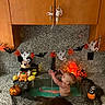 baby, infant, bathtub, bathing, halloween, pumpkin, ghost, bat, mickey_mouse, toy, kitchen, countertop, granite, cabinets, decoration, lantern, candle, water, indoor, portrait