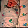 baby, bed, blanket, child, cozy, cute, duck, face, hat, hospital, indoors, infant, newborn, newborn_baby, pattern, portrait, sleeping, soft, swaddled, wrapped