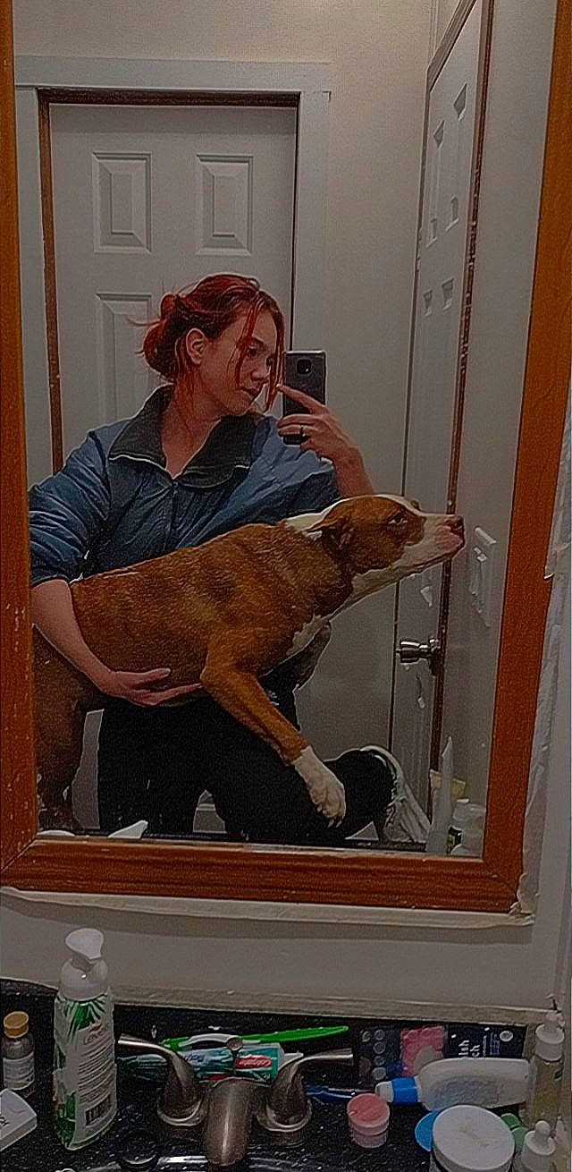 Rosie is registered to the contest to win money with this photo: art, carnivore, companion_dog, door, fawn, felidae, fur, illustration, jaw, mammal, painting, picture_frame, room, small_to_medium_sized_cats, smile, sporting_group, vertebrate, visual_arts, window, wood