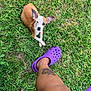 dog, puppy, grass, greenery, outdoor, pet, animal, ear, leg, tattoo, purple_crocs, footwear, casual, relaxing, summer, nature, cute, small_dog, looking_up, resting