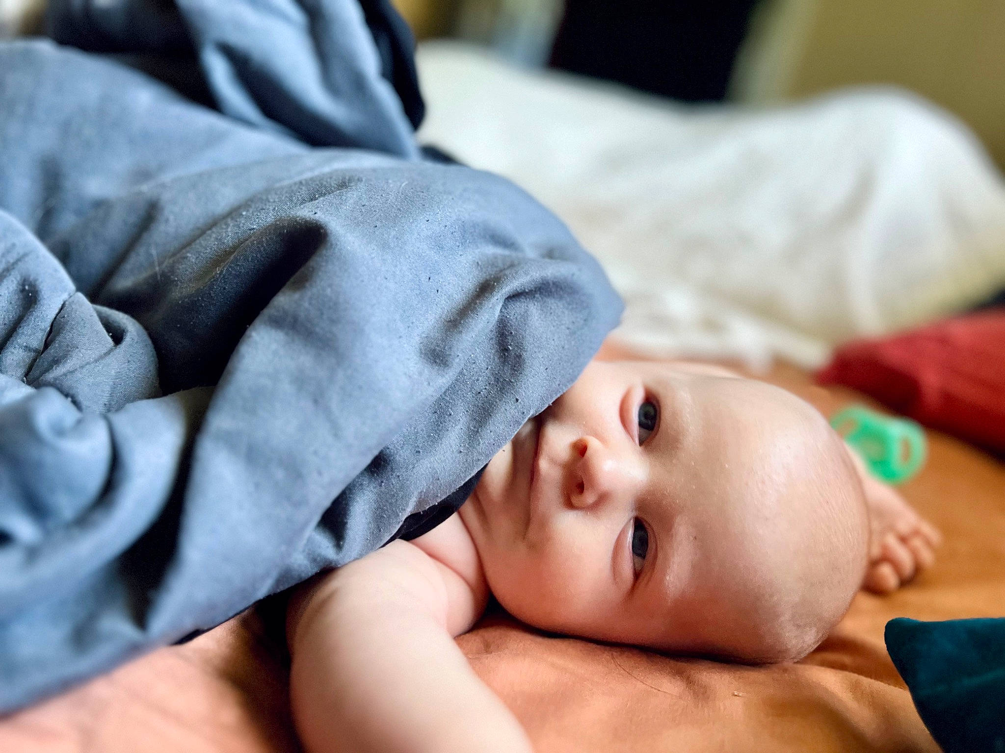 Alevander joined the competition — help win amazing prizes! baby, cheek, child, close_up, comfort, eyelash, face, finger, grass, hand, happy, head, linens, lip, mammal, pattern, person, portrait_photography, skin, textile