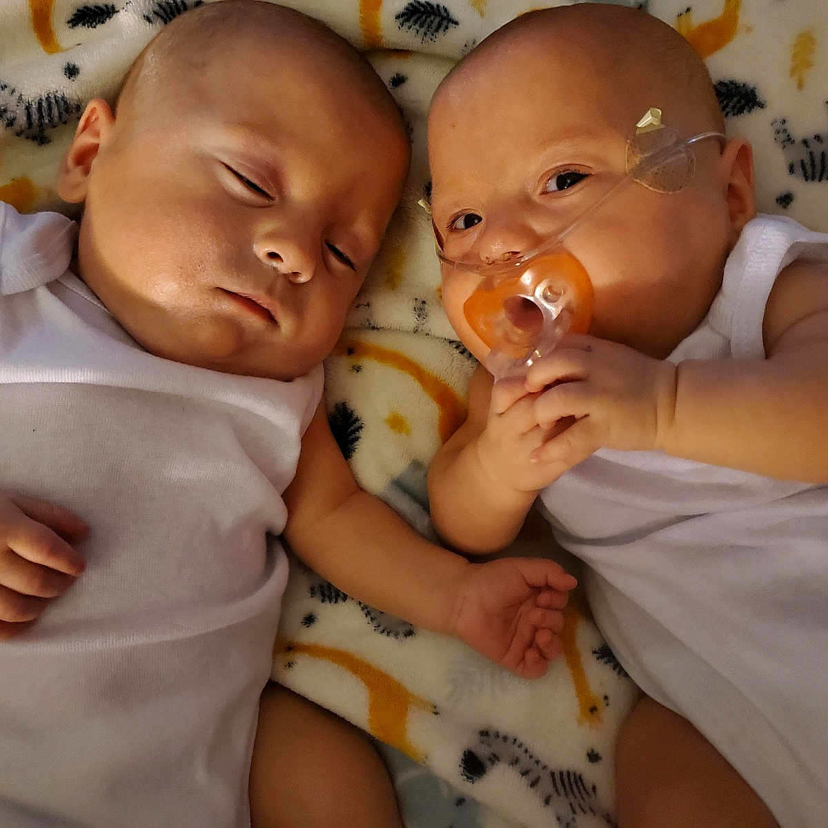 Uriah Luca is registered to the contest to win money with this photo: baby, infant, sleeping, pacifier, nasal_cannula, blanket, white_clothing, lying_down, together, cute, child, newborn, healthcare, indoors, resting, soft_lighting, two_babies, skin, face, hand