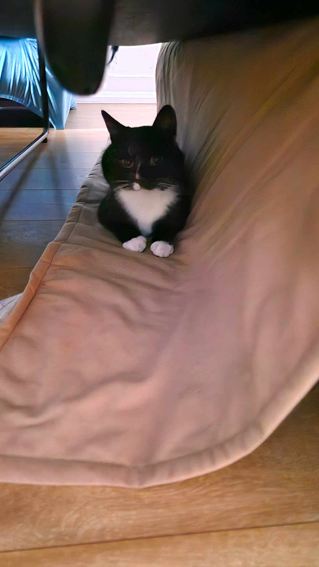 Jj