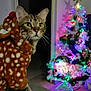 cat, tabby, hoodie, costume, christmas_tree, lights, ornaments, holiday, indoor, pet, curious, decorations, festive, glowing, shadow, floor, wall, greenery, star, celebration