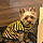 Zeek