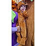 baby, child, costume, scooby_doo, brown, purple, green, hand, face, person, cute, indoor, holding, clothing, portrait, finger_in_mouth, plush, soft, character_costume, people