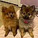 Xena And Saidie