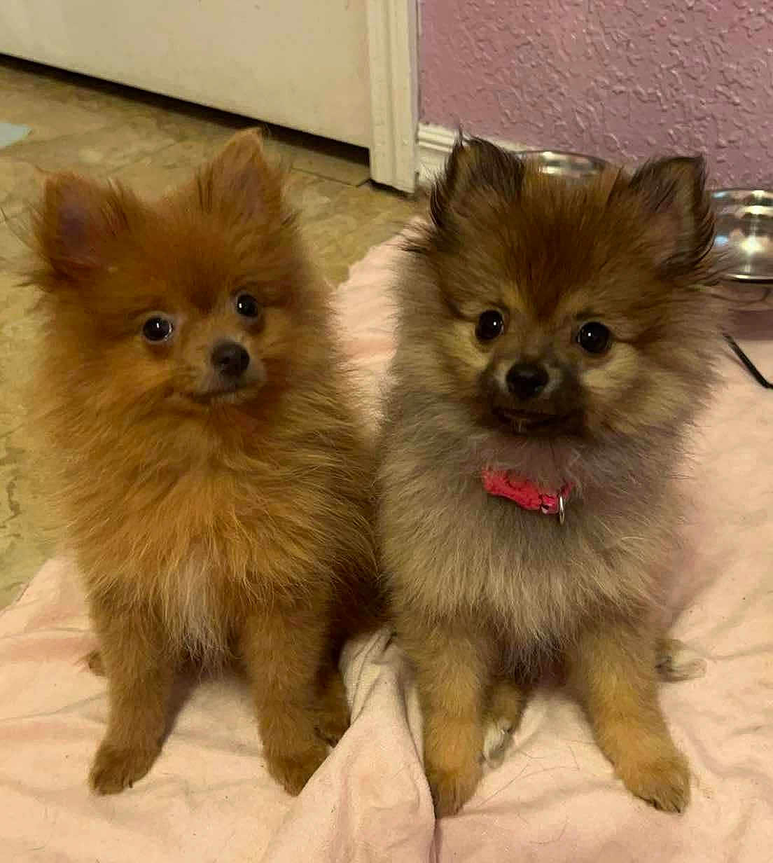 Xena And Saidie