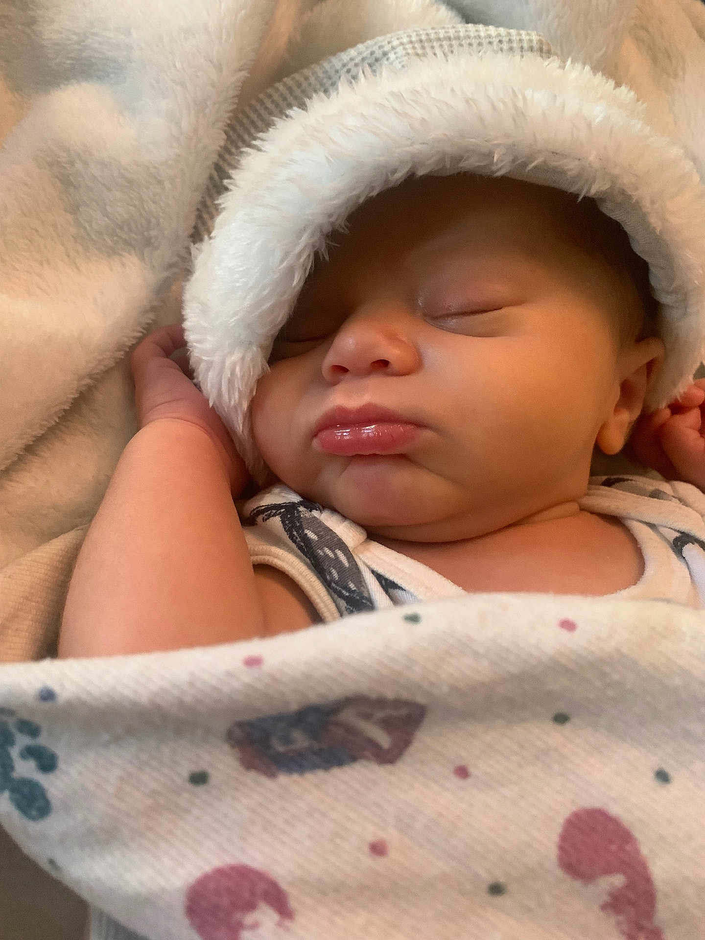 Eros joined the competition — help win amazing prizes! baby, sleeping, blanket, hat, cozy, infant, face, skin, hand, closeup, cute, resting, soft, comfort, newborn, apparel, child, peaceful, wrapped, indoors