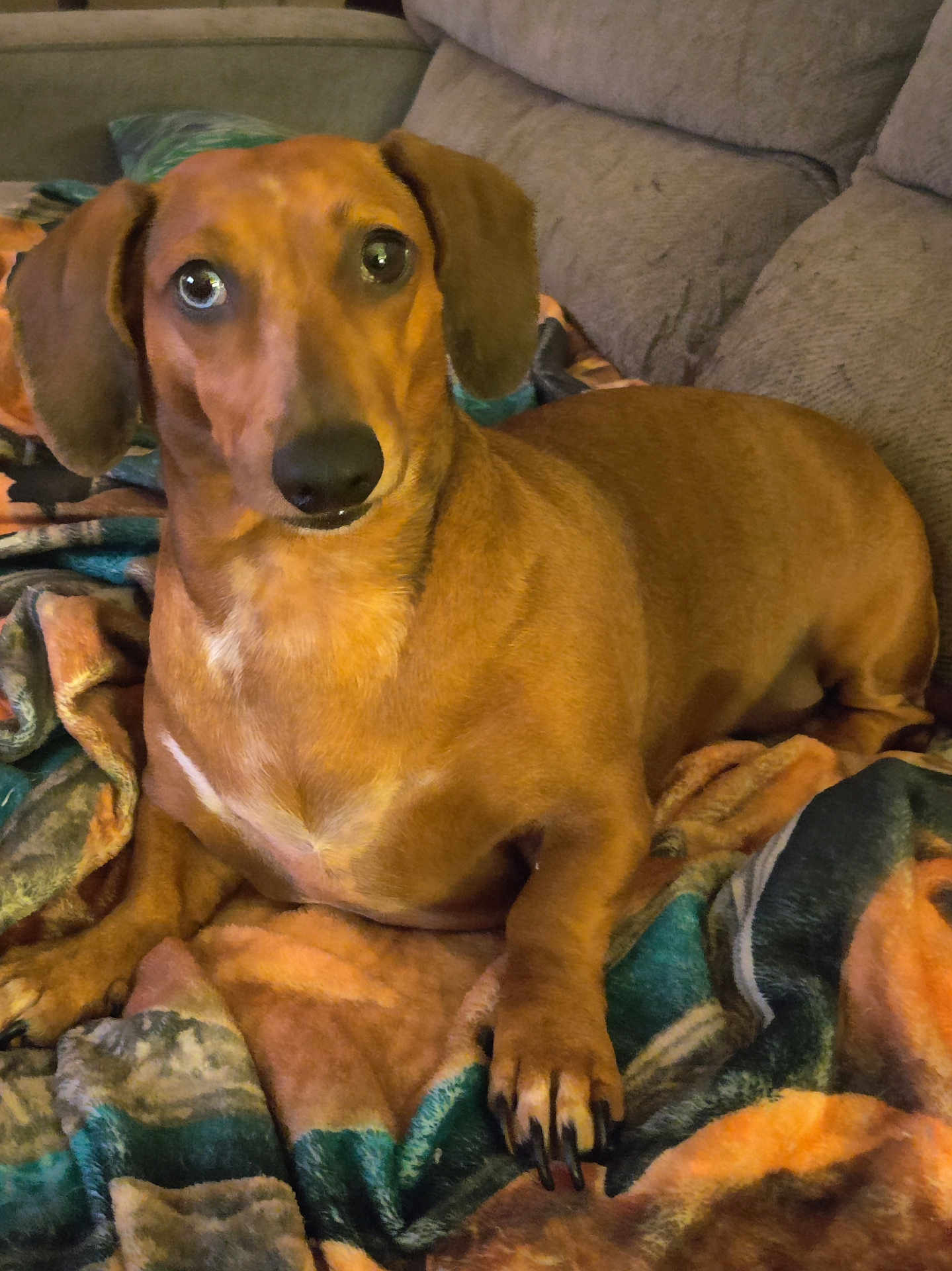 Lola