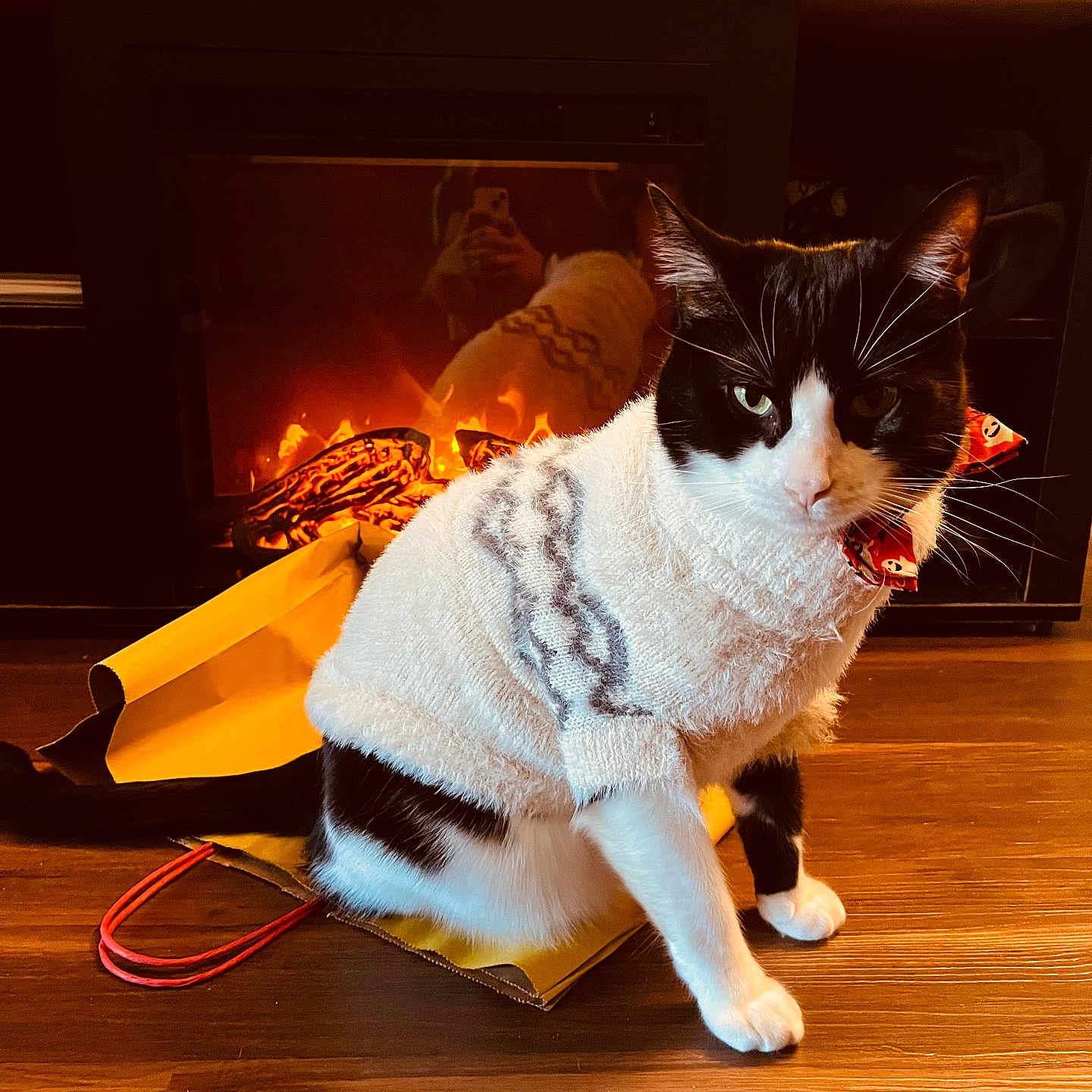 Roscoe