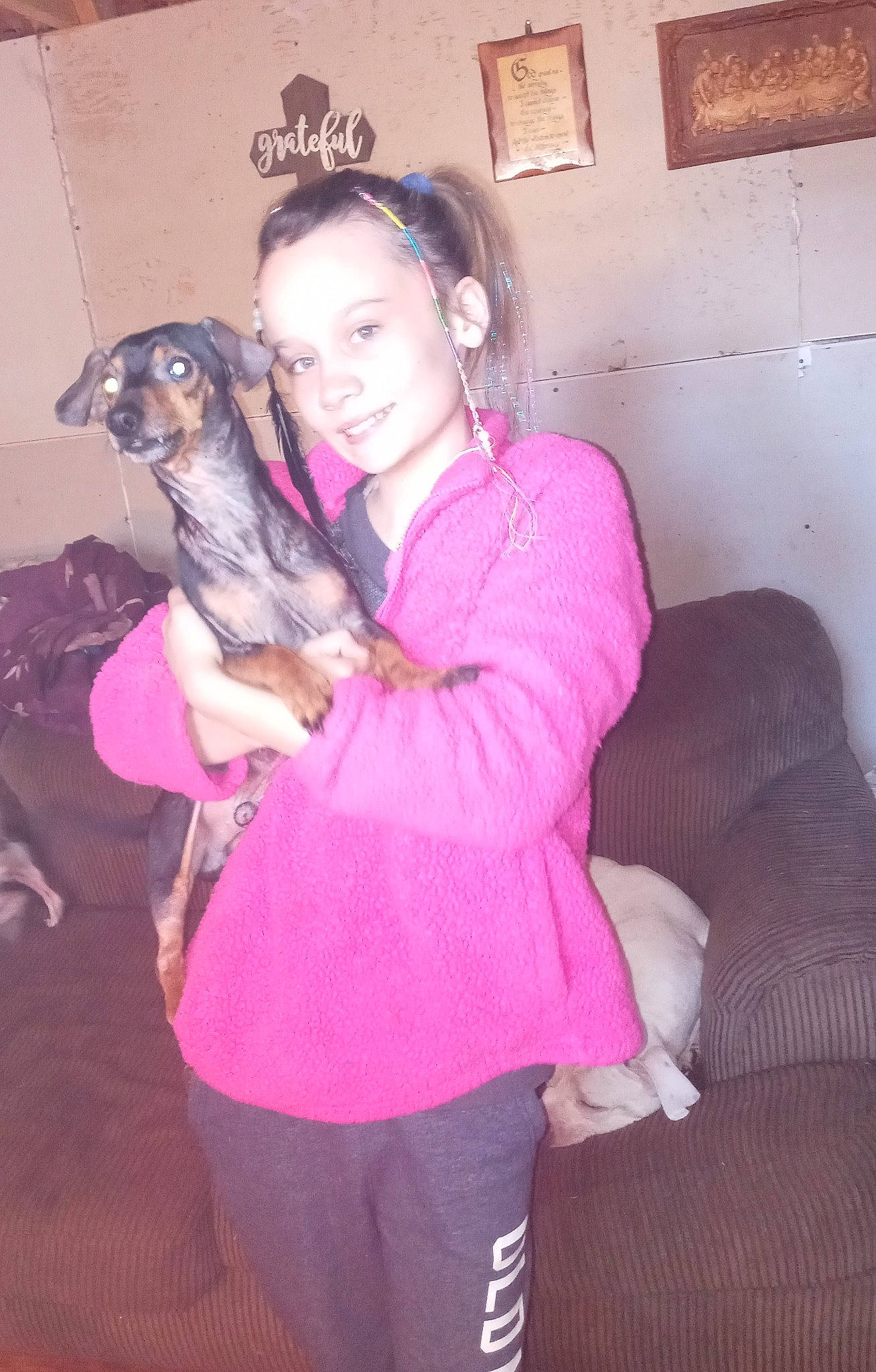 Amery is registered to the contest to win money with this photo: carnivore, comfort, companion_dog, couch, dog, dog_breed, ear, event, fawn, fun, fur, happy, joy, long_hair, magenta, person, picture_frame, pink, purple, sitting