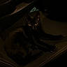 black_cat, cat, car_seat, vehicle_interior, dark, dim_light, pet, animal, feline, relaxed, indoor, seatbelt_buckle, black_fur, resting, night, eyes, shadow, leather_seat, compact_space, car_door