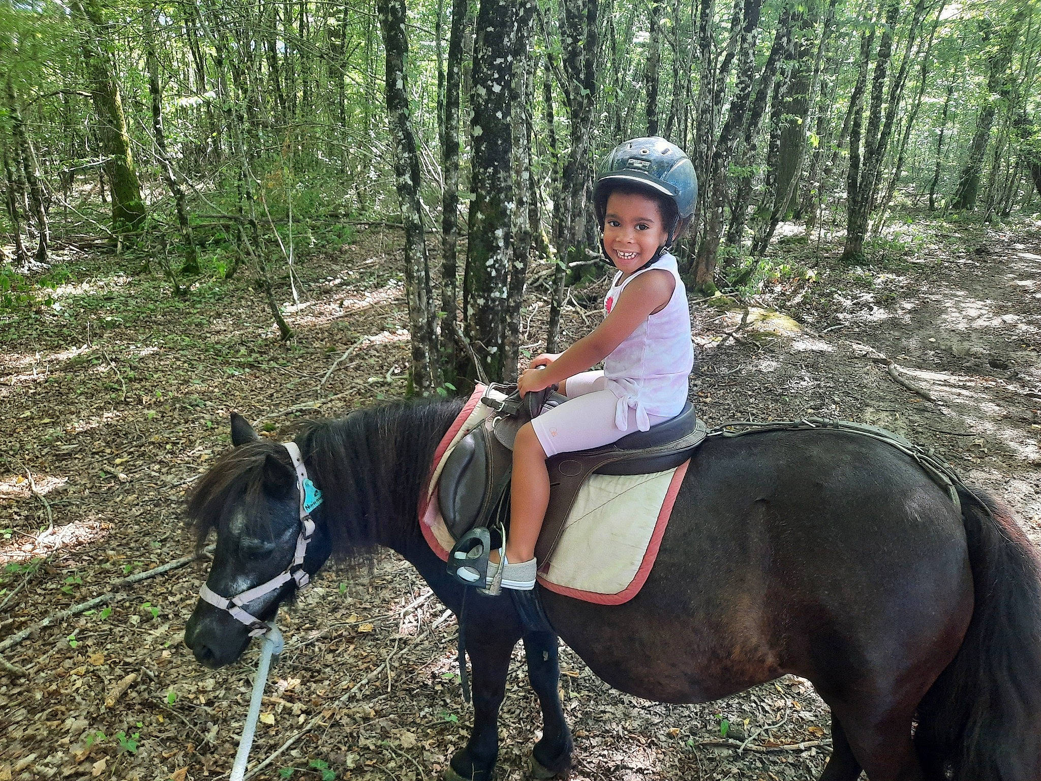 Kélya participe au concours pour gagner de l'argent avec cette photo : bit, bridle, english_riding, equestrian_helmet, equestrian_sport, equestrianism, helmet, horse, horse_supplies, horse_tack, joy, mammal, mane, pack_animal, person, plant, rein, saddle, smile, tree
