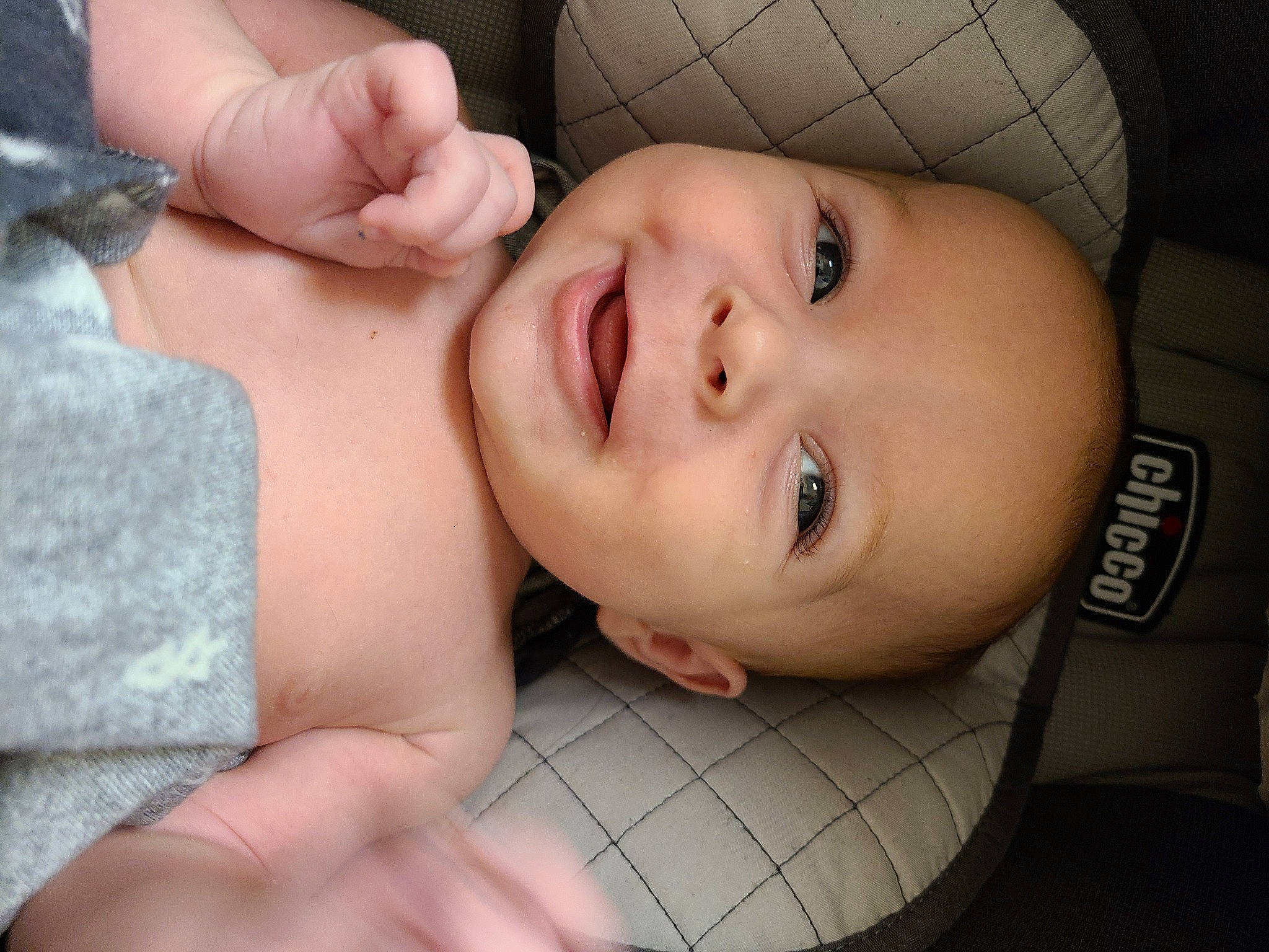 Beau joined the competition — help win amazing prizes! baby, beauty, cheek, child, chin, close_up, eye, eyebrow, face, forehead, hand, head, joy, lip, mouth, muscle, neck, nose, organ, person