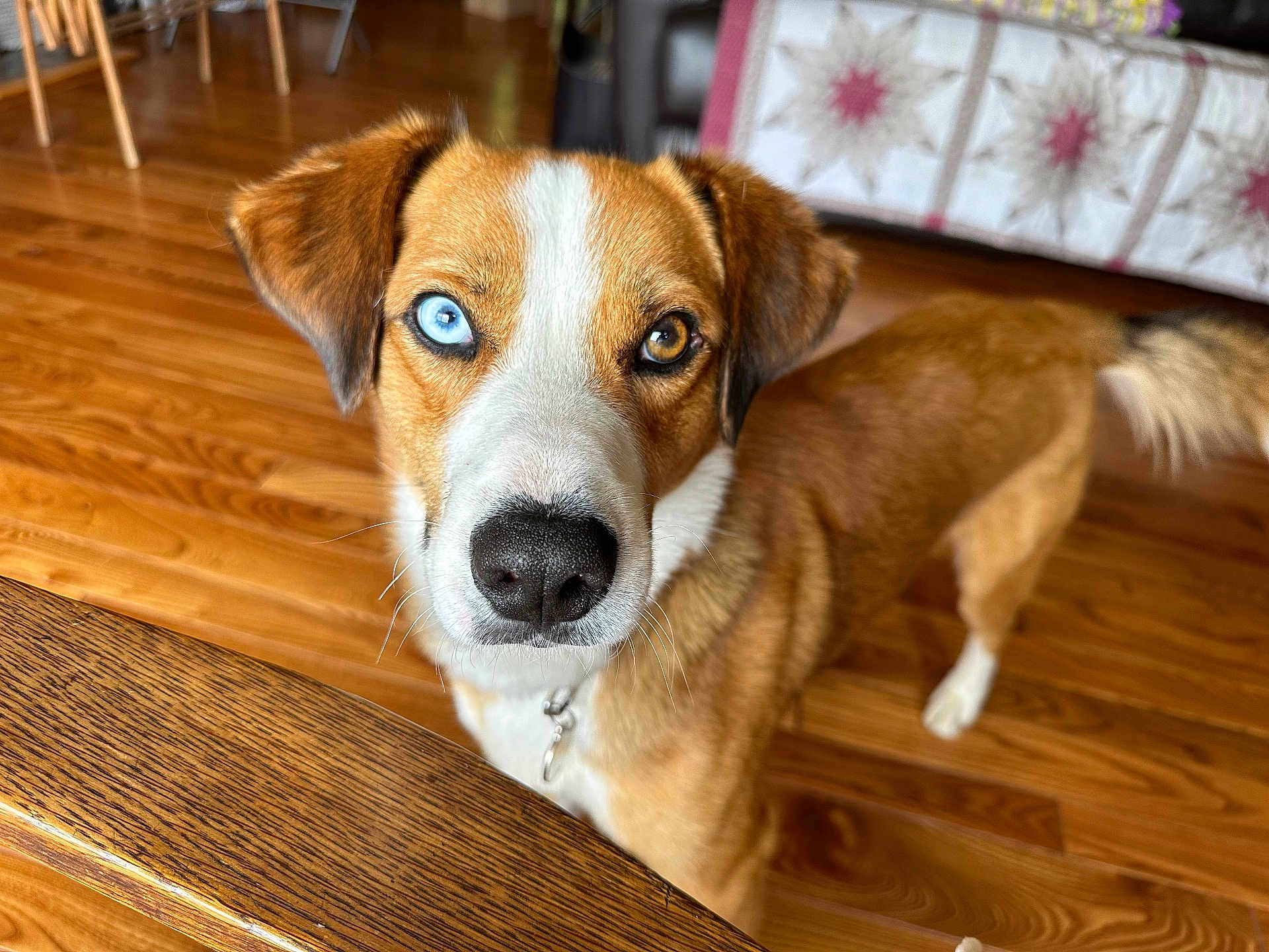 Winston