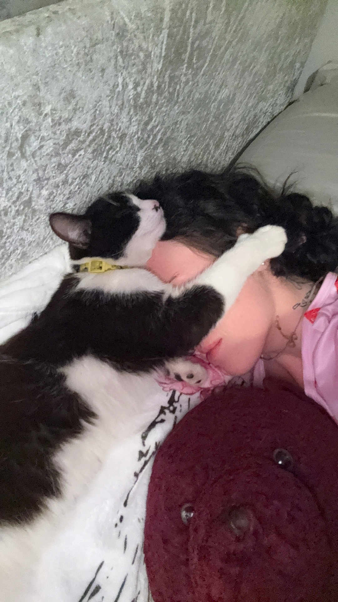 Morty joined the competition — help win amazing prizes! cat, person, sleeping, bed, pillow, blanket, indoor, closeup, black_and_white_cat, curly_hair, snuggling, resting, paw, collar, face, pink_clothing, cozy, cute, relaxation, home