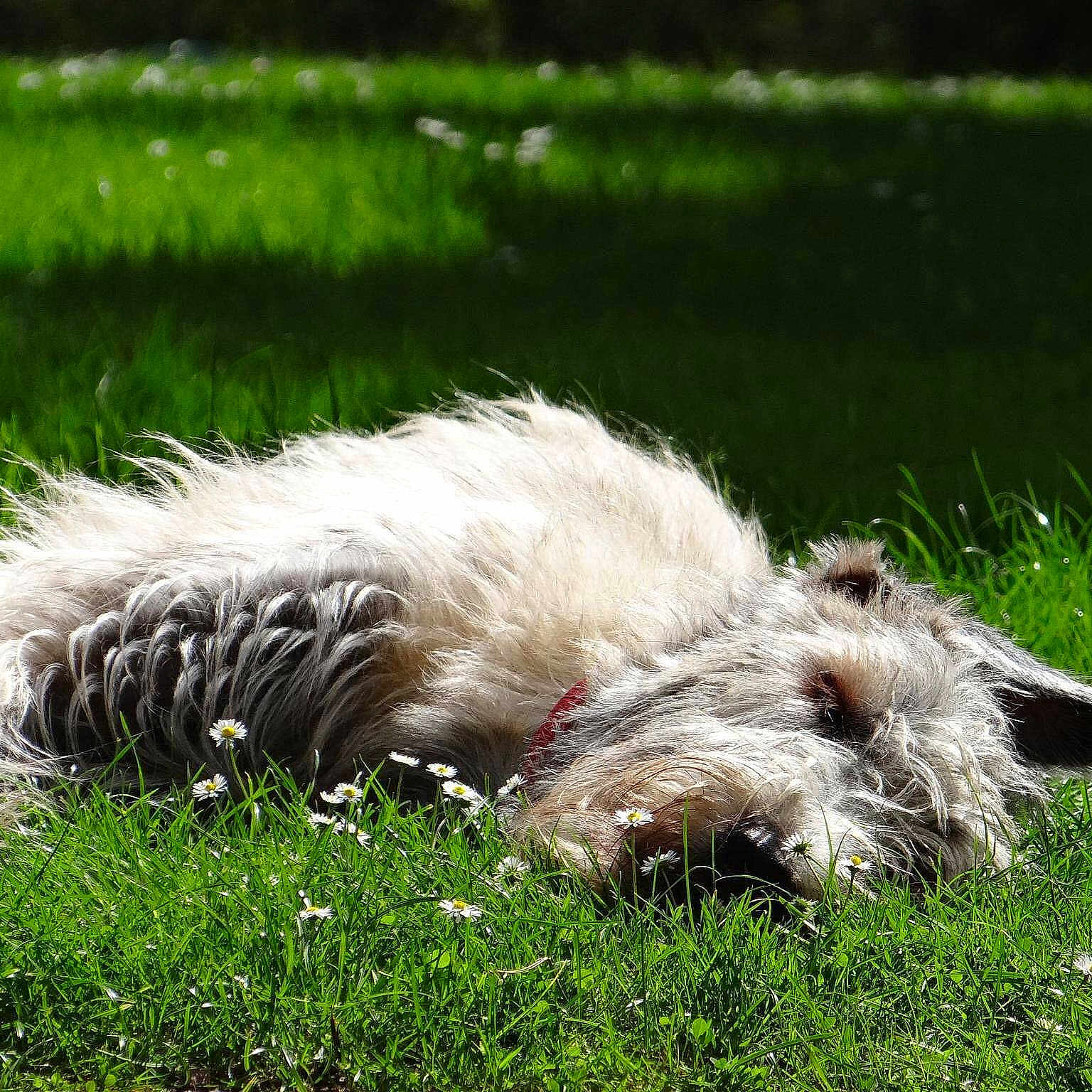 Jk Rowling Of Kirld Ground Cas