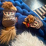 dogs, small_dogs, fluffy, brown_fur, christmas, holiday, sweaters, matching_outfits, pet_fashion, cushion, blue_couch, tufted_furniture, white_blanket, indoor, living_room, piano_keys, rug, cozy, festive, portrait