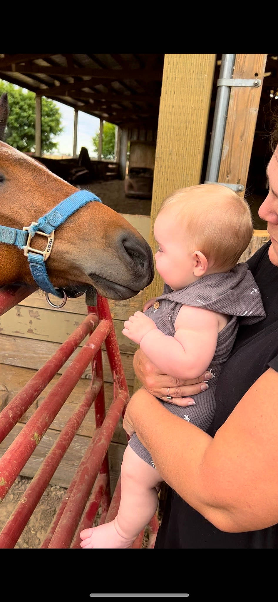 Rowen is registered to the contest to win money with this photo: baby, bridle, event, fawn, fun, happy, horse, horse_supplies, horse_tack, liver, livestock, mammal, organ, pack_animal, person, skin, snapshot, snout, sorrel, toddler