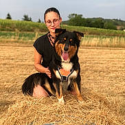 Rita participe au concours pour gagner de l'argent avec cette photo : animal, black_fur, brown_fur, canine, dog, field, glasses, grass, happy, hay_bale, nature, outdoor, person, pet, rural, scenery, smile, summer, sunlight, white_fur
