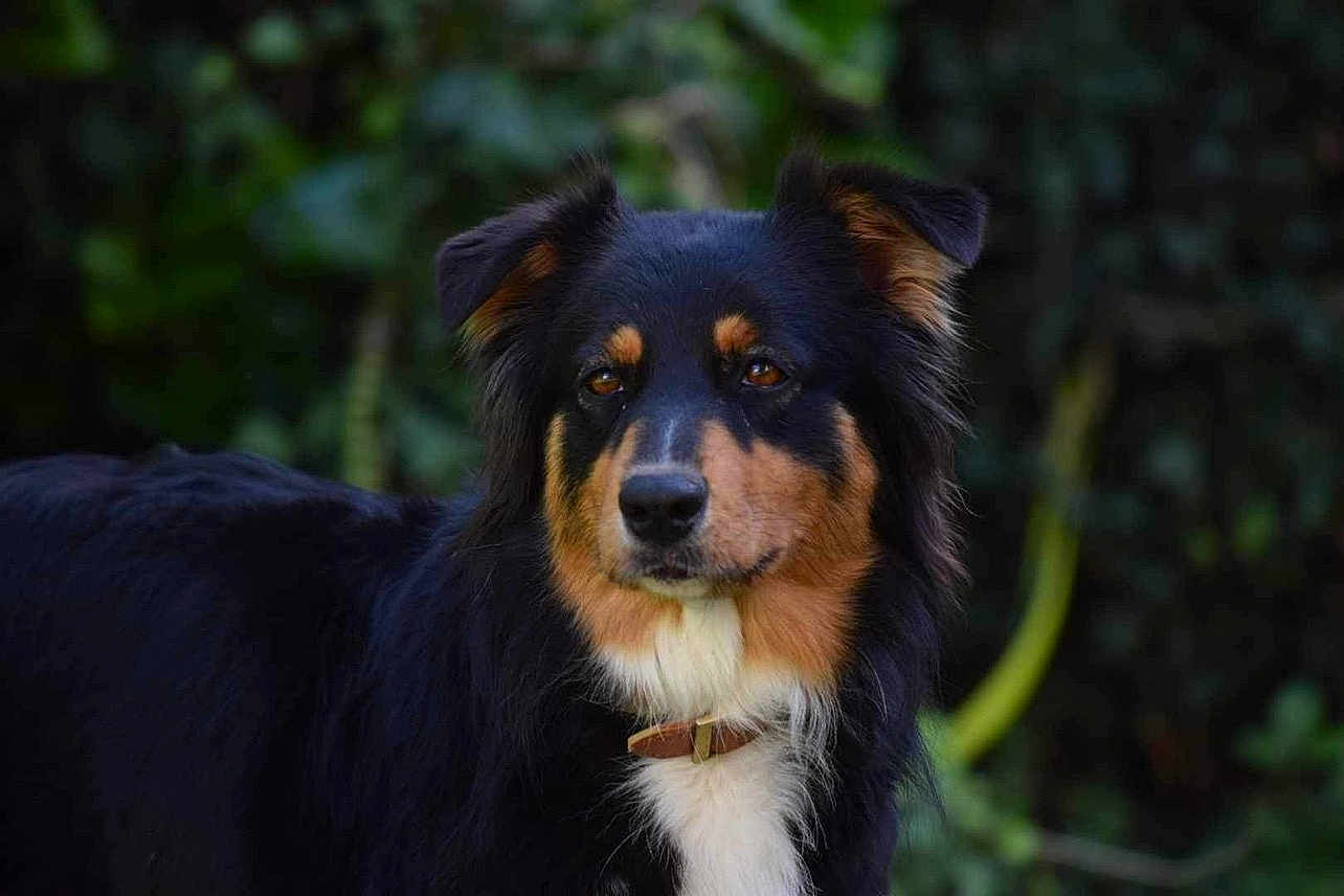Rita