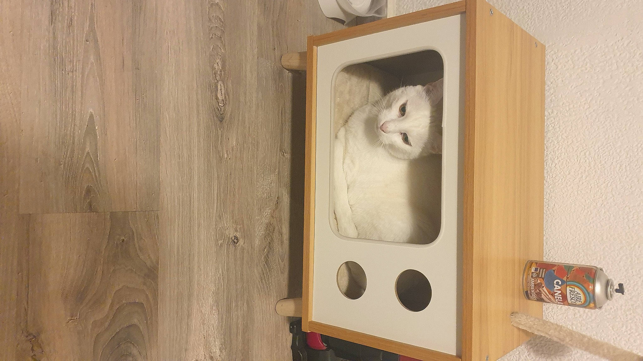 Weewee participe au concours pour gagner de l'argent avec cette photo : art, audio_equipment, cat, felidae, fur, gas, hardwood, home_appliance, kitchen_appliance, loudspeaker, machine, major_appliance, plywood, room, small_to_medium_sized_cats, television, television_set, whiskers, wood, wood_stain