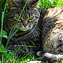 Bianca participe au concours pour gagner de l'argent avec cette photo :