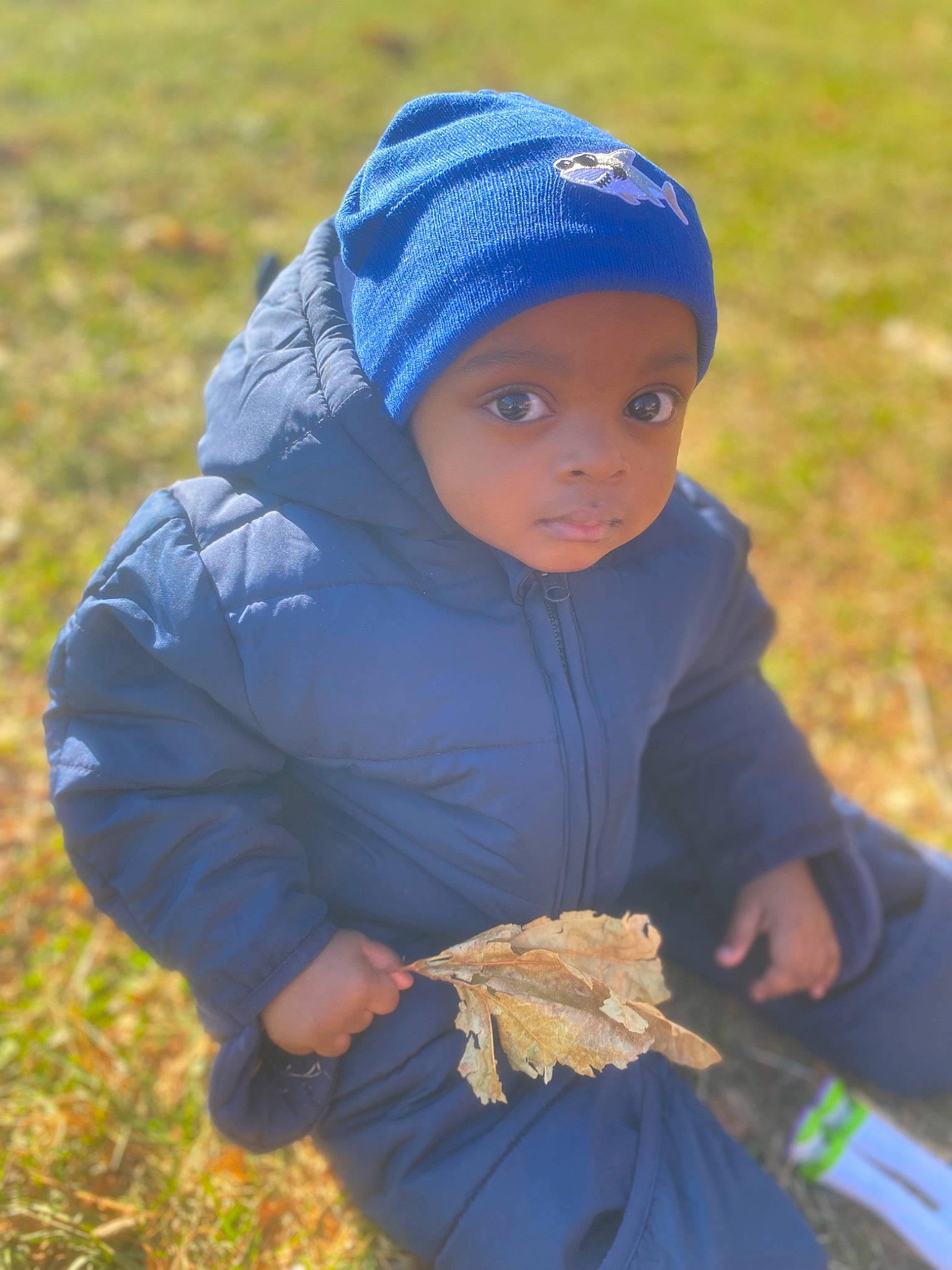 Makai is registered to the contest to win money with this photo: baby, baseball_cap, cap, child, electric_blue, eye, glove, grass, grass_family, grassland, hand, happy, headwear, jacket, landscape, leaf, outerwear, people_in_nature, person, recreation