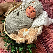 Eva participe au concours pour gagner de l'argent avec cette photo : newborn, baby, wrapped, knit_hat, basket, blanket, plush_toy, teddy_bear, greenery, wooden_floor, indoor, soft_lighting, cute, infant, cozy, portrait, child, face, warm_colors, resting