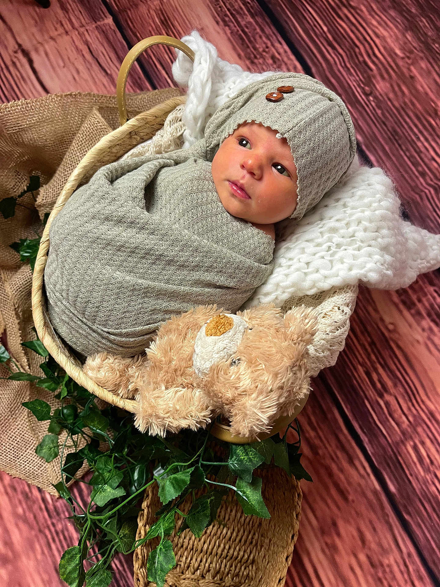 Eva participe au concours pour gagner de l'argent avec cette photo : newborn, baby, wrapped, knit_hat, basket, blanket, plush_toy, teddy_bear, greenery, wooden_floor, indoor, soft_lighting, cute, infant, cozy, portrait, child, face, warm_colors, resting