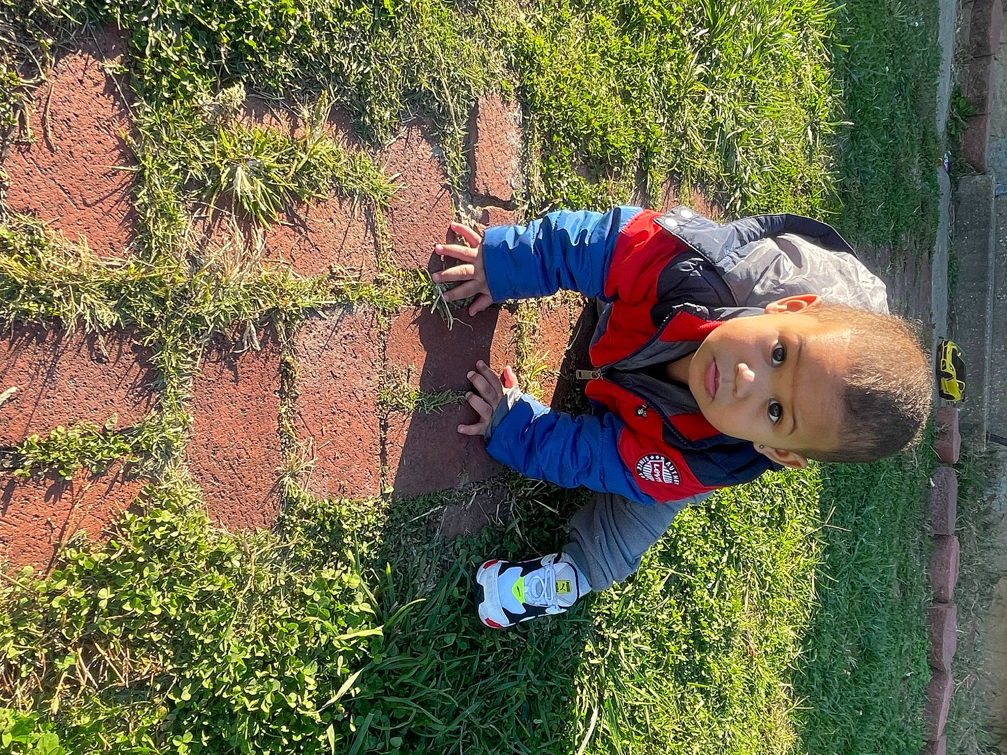 Kaison joined the competition — help win amazing prizes! botany, electric_blue, fun, grass, grass_family, groundcover, happy, landscape, lawn, leaf, leisure, nature, people_in_nature, person, plant, recreation, shrub, toddler, tree, vegetation