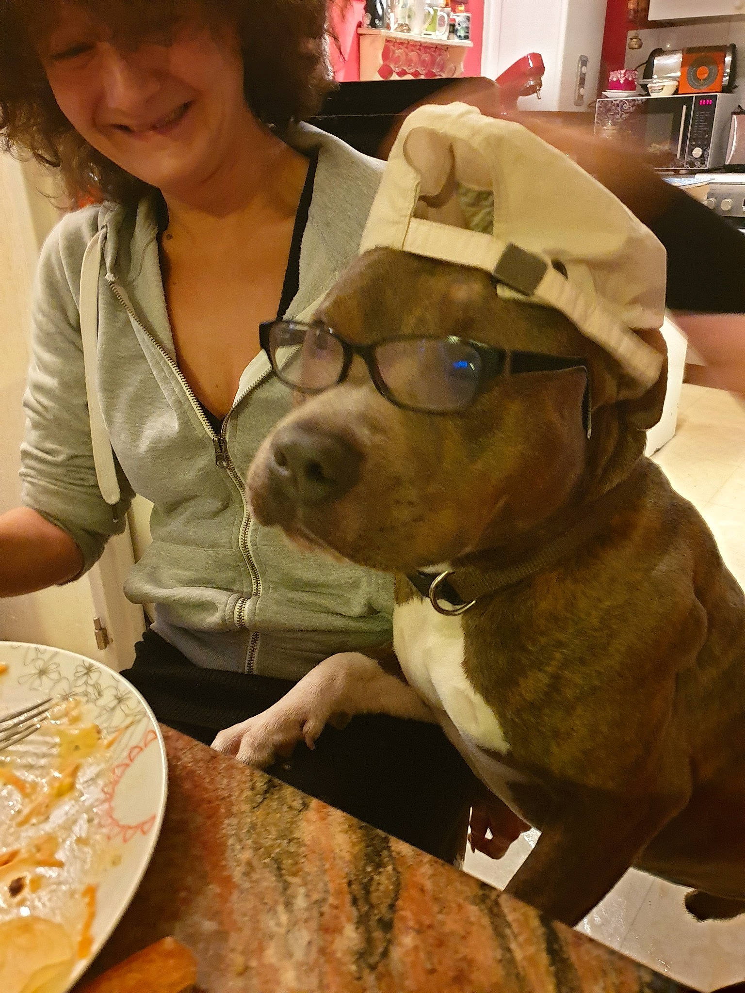 Nexonn a rejoint le concours — aidez-le/la à gagner de superbes lots ! american_bulldog, american_pit_bull_terrier, american_staffordshire_terrier, bandog, bulldog, canidae, carnivore, companion_dog, dog, dog_breed, ear, fawn, non_sporting_group, pit_bull, puppy_love, snout, staffordshire_bull_terrier