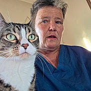 Milo joined the competition — help win amazing prizes! cat, tabby_cat, person, indoor, portrait, blue_shirt, close_up, feline, whiskers, green_eyes, short_hair, wall_art, natural_light, home, curious, pet, companion, looking_away, texture, casual