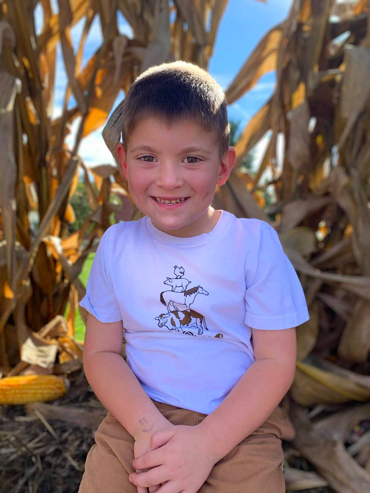 Josiah joined the competition — help win amazing prizes! child, electric_blue, flash_photography, fun, grass, happy, joy, laugh, leisure, people_in_nature, person, portrait_photography, sitting, smile, soil, t_shirt, toddler, travel, trunk, vacation
