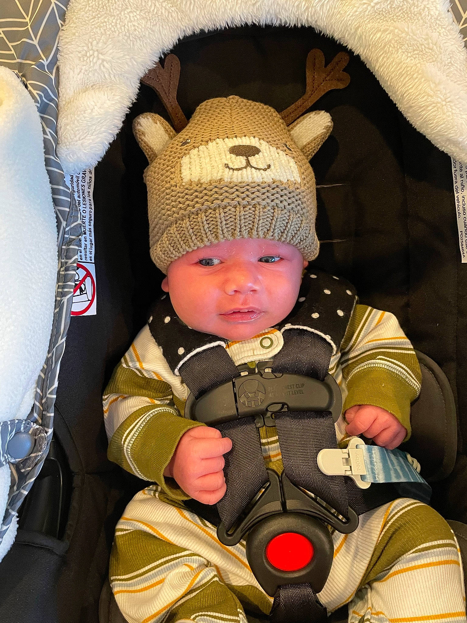 Dylan is registered to the contest to win money with this photo: baby, baby_carriage, baby_products, baby_toddler_clothing, cap, car_seat, cheek, child, chin, comfort, eye, fashion_accessory, fun, head, headwear, helmet, knit_cap, person, personal_protective_equipment, skin