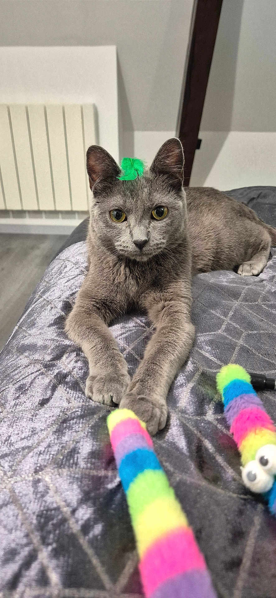 Mia